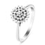 9k White Gold Diamond Cluster Ring 0.25ct G/SI Quality - All Diamond