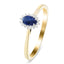 Blue Sapphire 0.20ct and Diamond 0.05ct Ring In 9k Yellow Gold - All Diamond