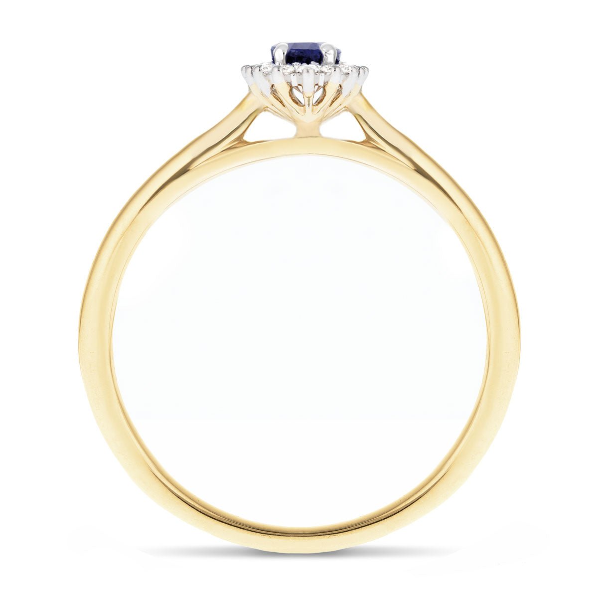 Blue Sapphire 0.20ct and Diamond 0.05ct Ring In 9k Yellow Gold - All Diamond