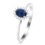 Blue Sapphire 0.60ct and Diamond 0.10ct Ring In 9K White Gold
