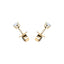 Diamond Stud Earrings 0.20ct Premium Quality in 18K Yellow Gold - All Diamond