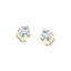 Diamond Stud Earrings 2.00ct Premium Quality in 18K Yellow Gold - All Diamond