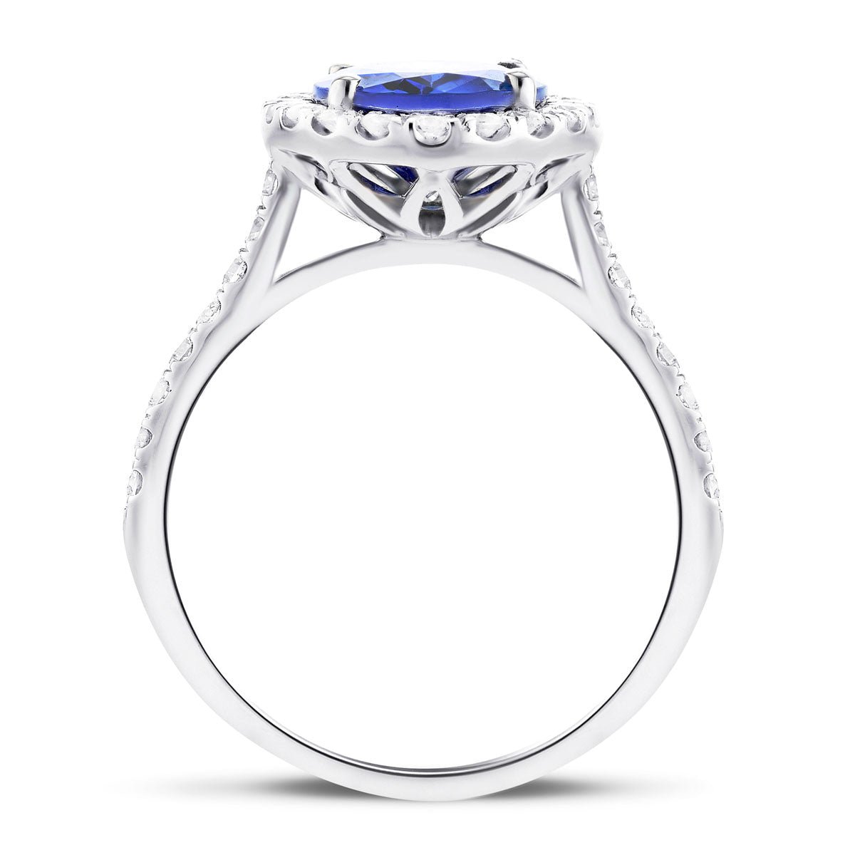Halo Oval Tanzanite 2.60ct and Diamond 0.59ct Ring in Platinum - All Diamond